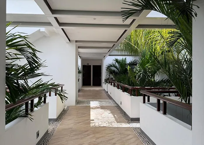 Selva - Hivenb Tulum
