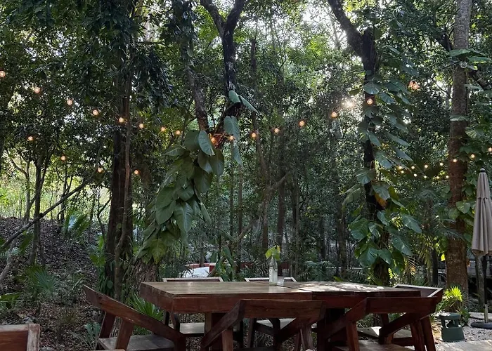 Selva - Hivenb * Tulum